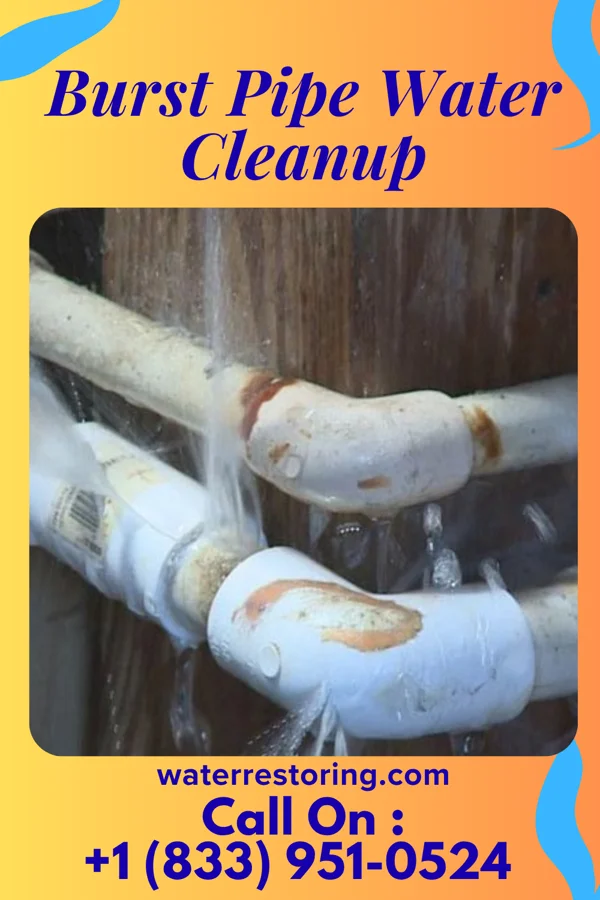 Burst Pipe Water Cleanup in Platte Center, NE