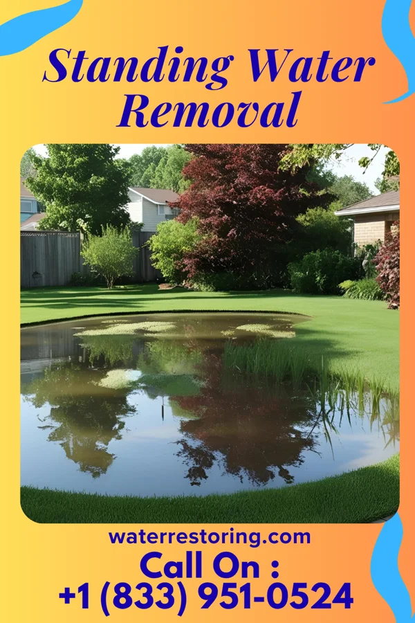 Standing Water Removal in Platte Center, NE